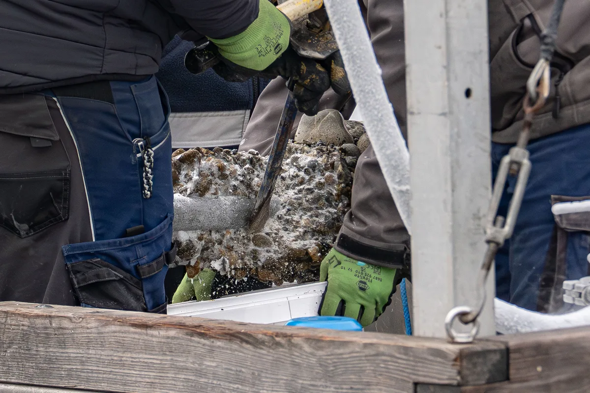 Man sieht Hände, die mit Hammer und Meissel gefrorene Steine abklopfen.
